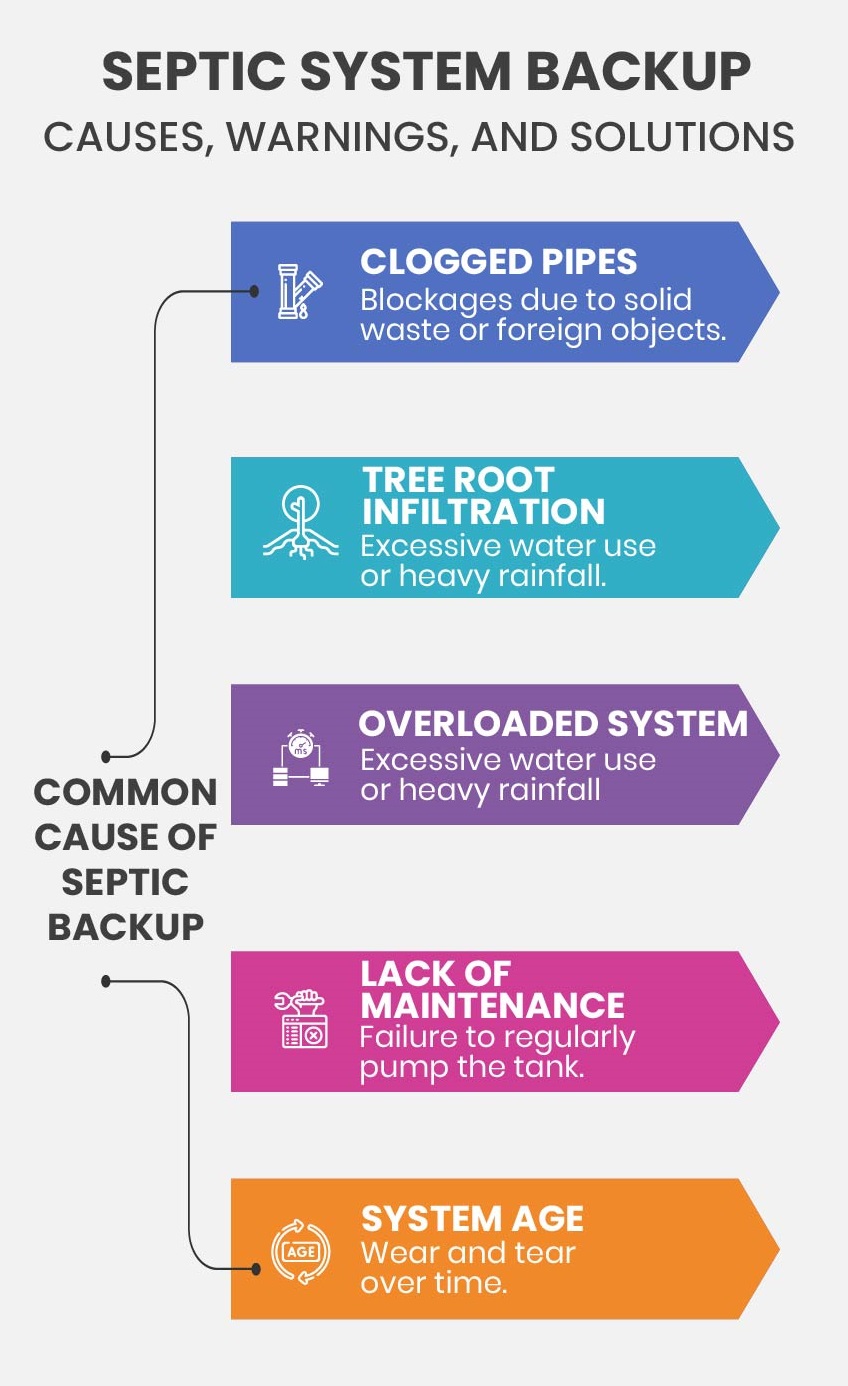 infographic - Common Cause of Septic Backup